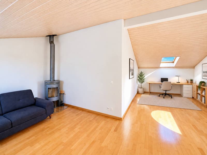 Très bel appartement en duplex (8)
