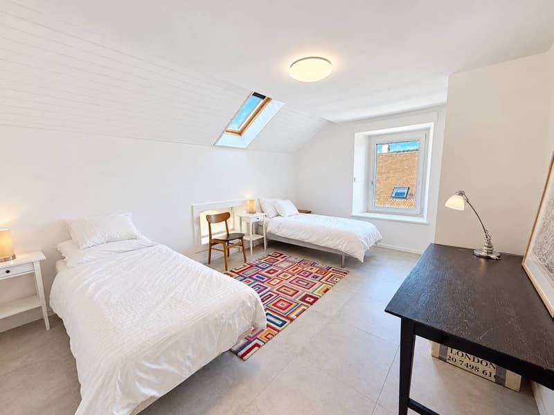 Duplex de Standing avec vue sur le Lac et les Alpes (7)