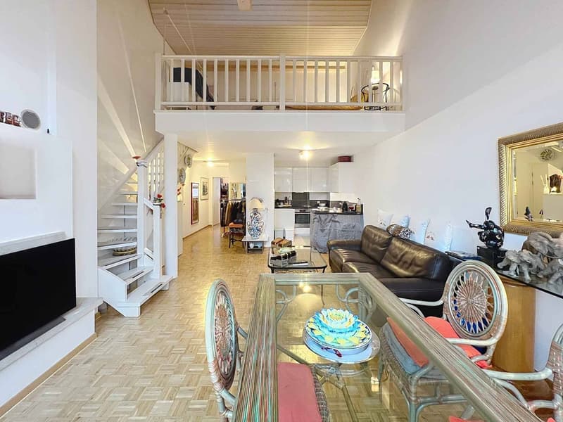 Agréable appartement lumineux avec duplex (1)