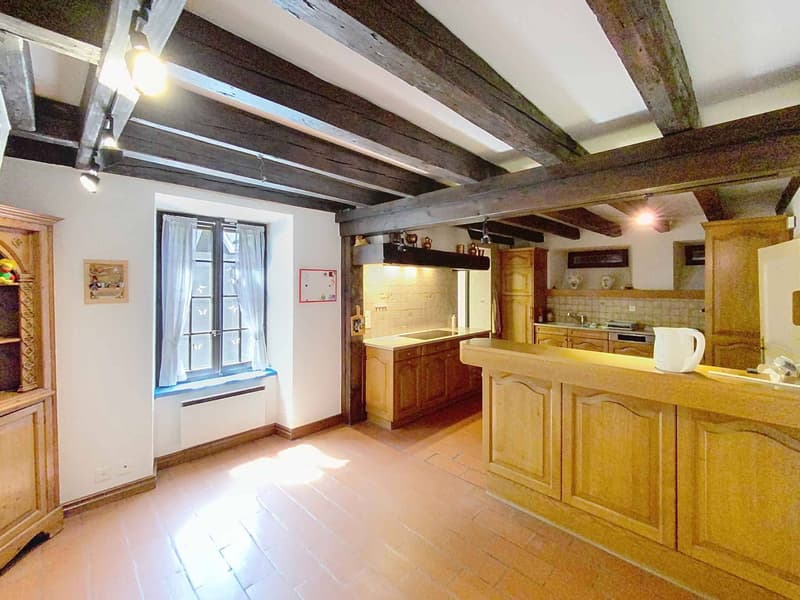 Grande maison familiale avec piscine et vaste parcelle arborisée (3)