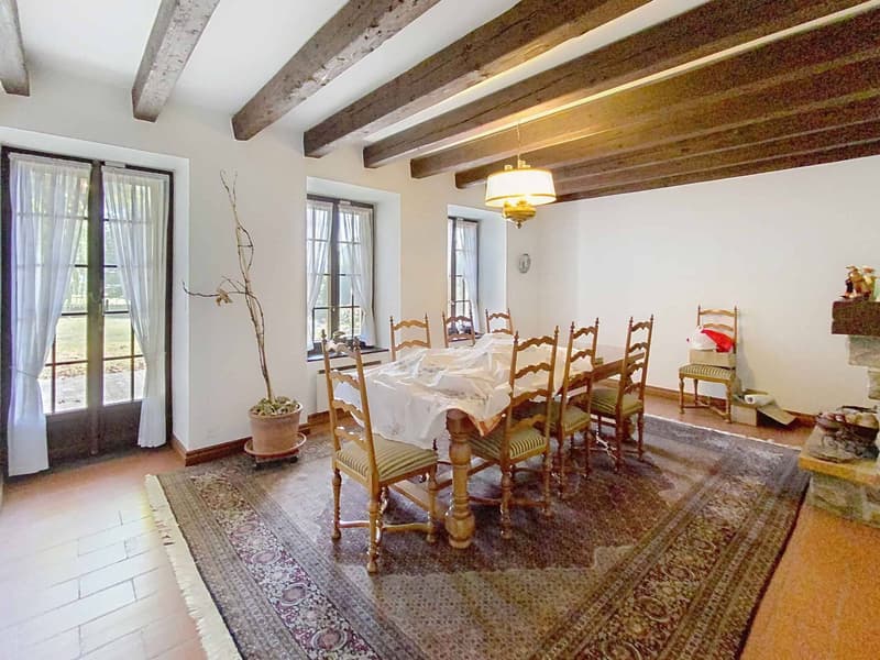 Grande maison familiale avec piscine et vaste parcelle arborisée (4)