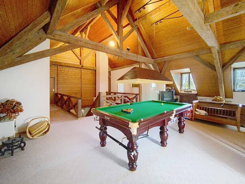 Grande maison familiale avec piscine et vaste parcelle arborisée (7)