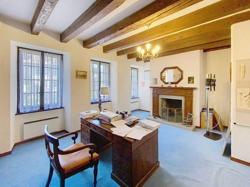Grande maison familiale avec piscine et vaste parcelle arborisée (5)