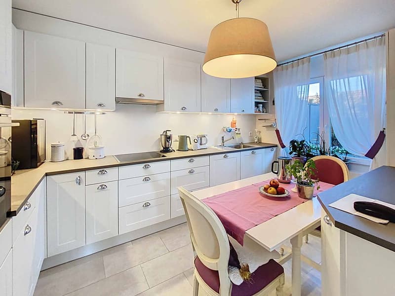 SUPERBE APPARTEMENT AVEC GRAND JARDIN, TERRASSE ET VUE SUR LE LAC ET LES ALPES (6)