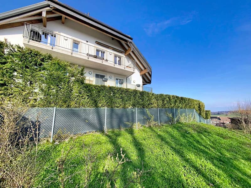 SUPERBE APPARTEMENT AVEC GRAND JARDIN, TERRASSE ET VUE SUR LE LAC ET LES ALPES (10)