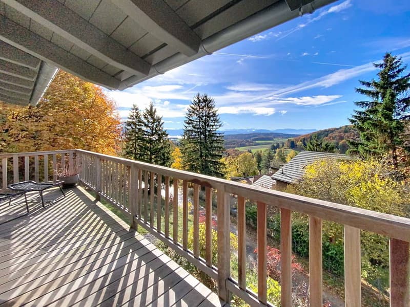 Magnifique maison en pleine nature (2)