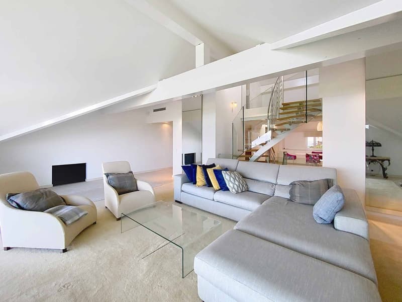 Magnifique appartement avec vue (4)