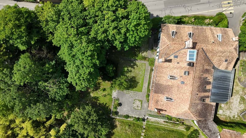 Propriété de caractère du XVIème siècle (2)
