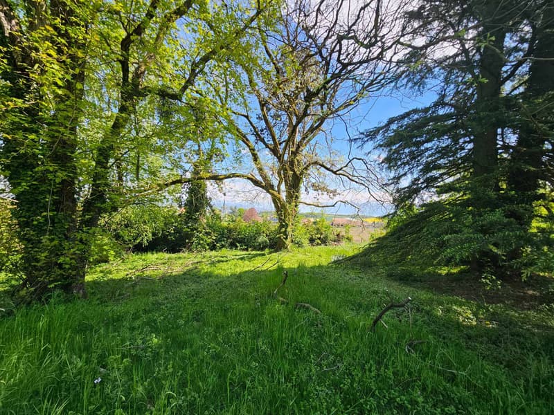 Villa individuelle de standing sur plan - NEUVE (6)