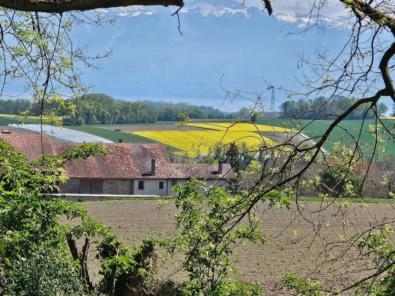 Villa individuelle de standing sur plan - NEUVE (7)