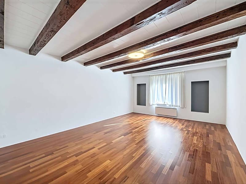 Magnifique maison villageoise rénovée avec charme, volumes et vue sur les Alpes (6)