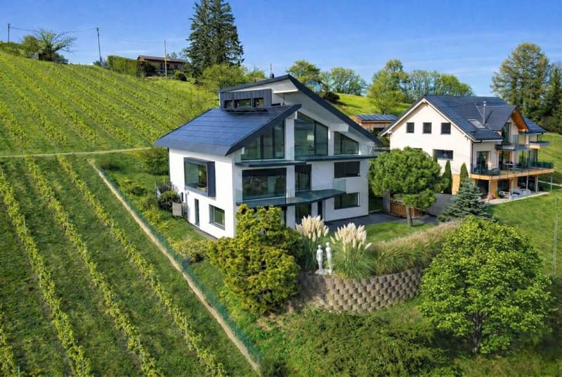 Villa d'architecte au coeur des vignes (13)