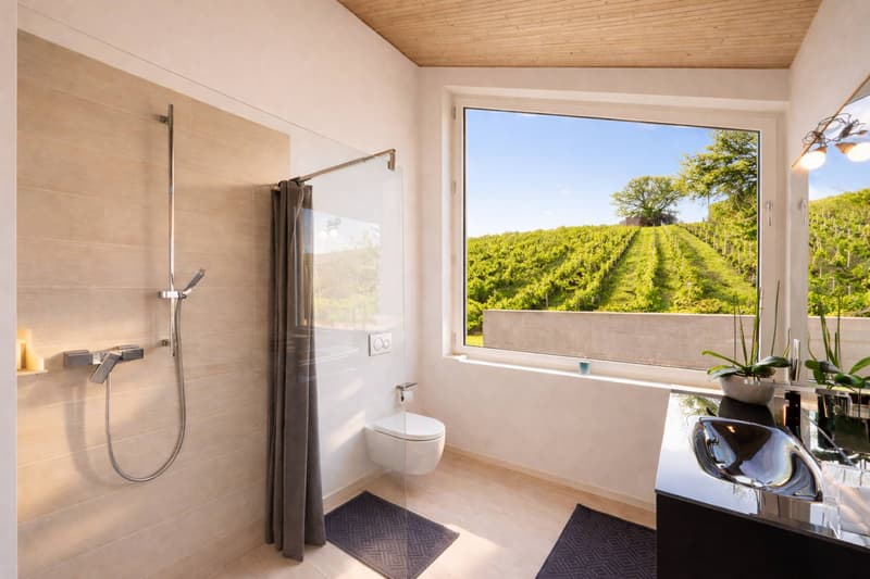 Villa d'architecte au coeur des vignes (8)