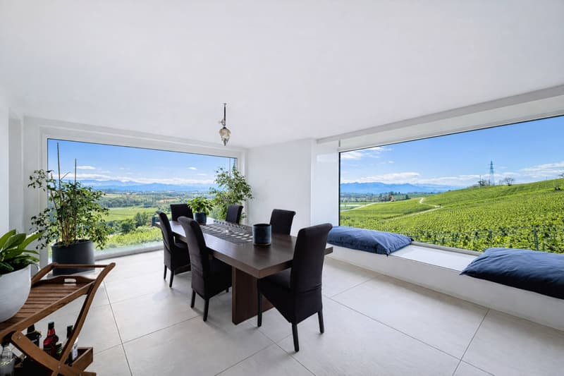 Villa d'architecte au coeur des vignes (5)