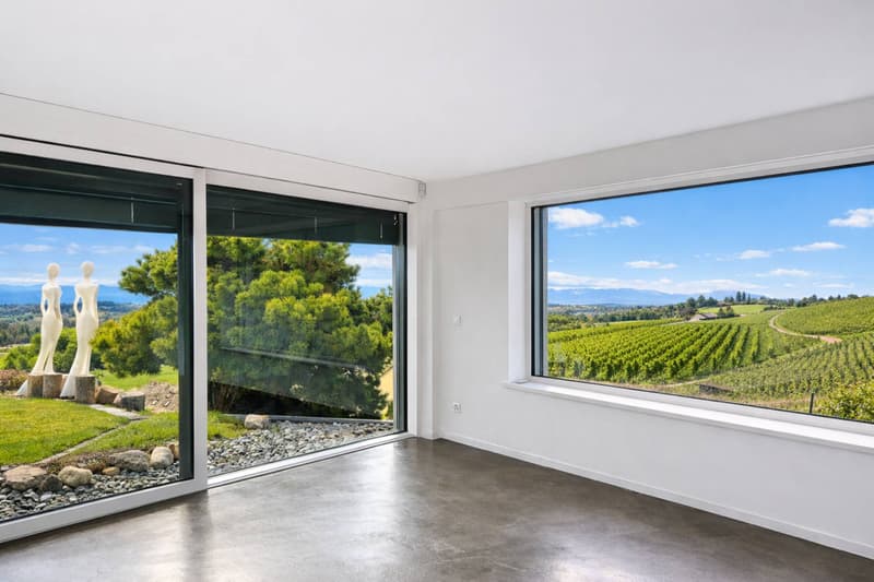 Villa d'architecte au coeur des vignes (11)