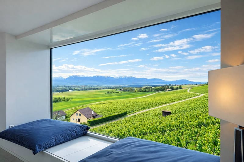 Villa d'architecte au coeur des vignes (4)