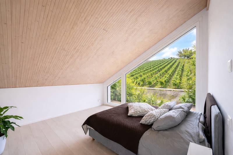 Villa d'architecte au coeur des vignes (9)