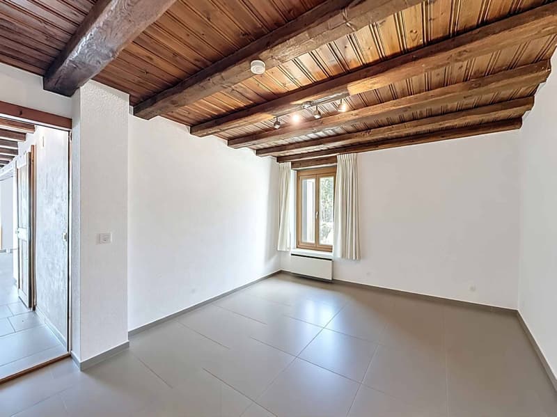 Magnifique maison villageoise rénovée avec charme, volumes et vue sur les Alpes (4)