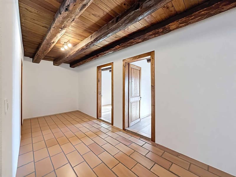 Magnifique maison villageoise rénovée avec charme, volumes et vue sur les Alpes (6)