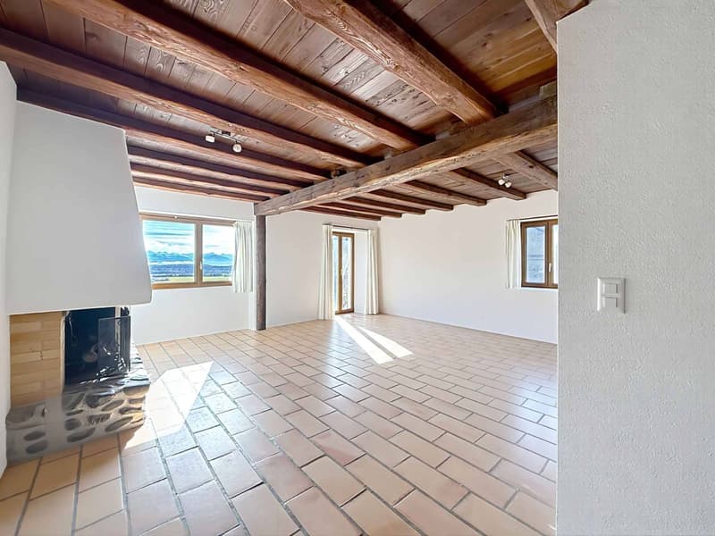 Magnifique maison villageoise rénovée avec charme, volumes et vue sur les Alpes (5)