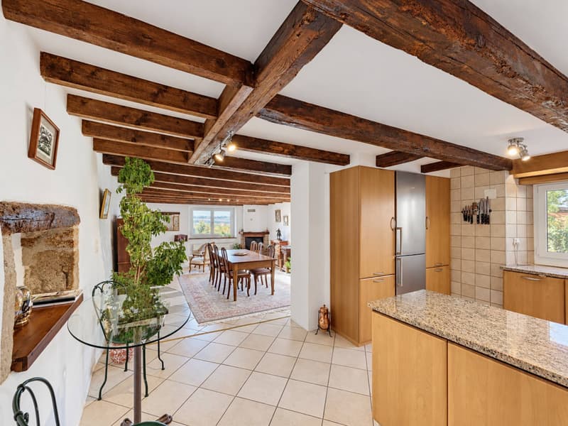 Une maison de caractère pleine d'âme au cur de Colombier (4)