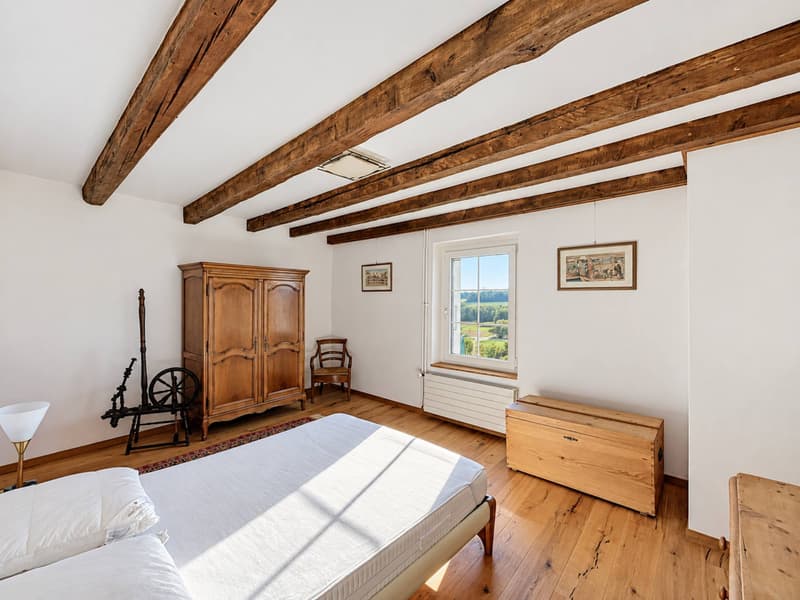 Une maison de caractère pleine d'âme au cur de Colombier (10)