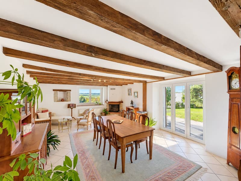 Une maison de caractère pleine d'âme au cur de Colombier (6)