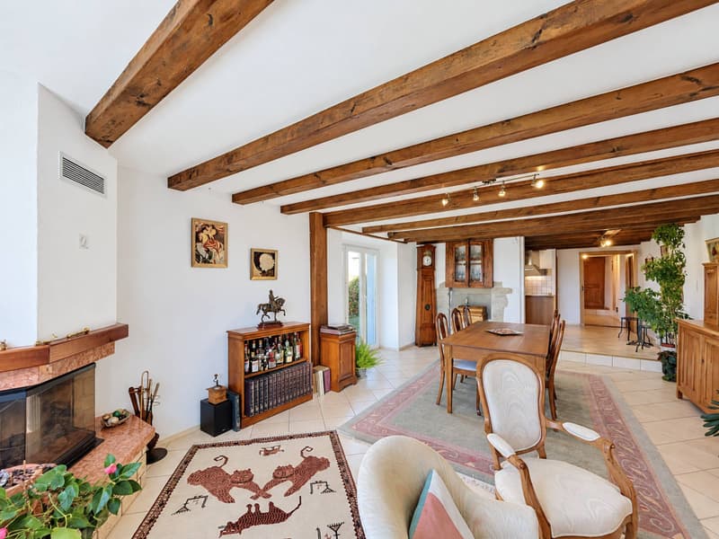Une maison de caractère pleine d'âme au cur de Colombier (7)