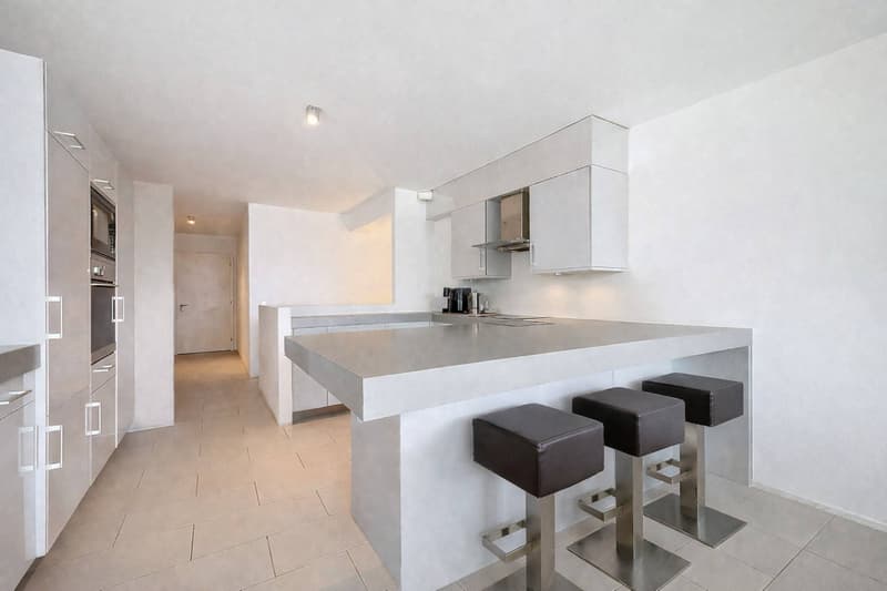 Duplex contemporain avec jardin privatif et vue sur les Alpes à Pully Sud (2)