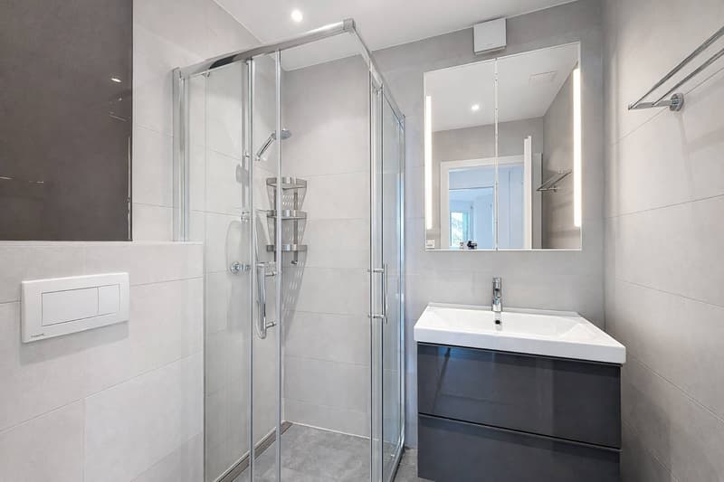 Appartement 5.5 pièces rénové avec studio indépendant (6)