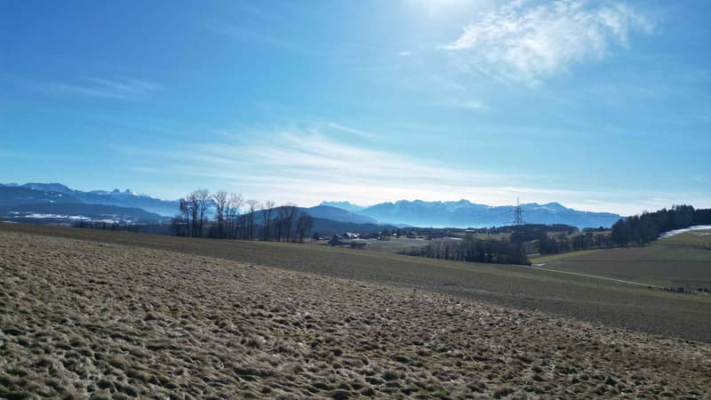 Propriété de caractère offrant trois logements et un local commercial (3)