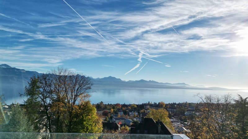 Attique exceptionnel avec une vue magnifique sur le lac (12)