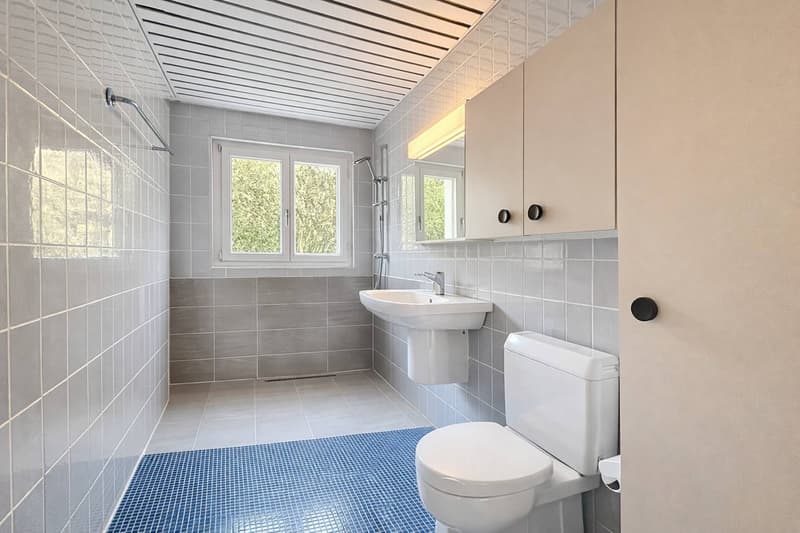 Maison d'architecte de charme à Romanel-sur-Lausanne (9)