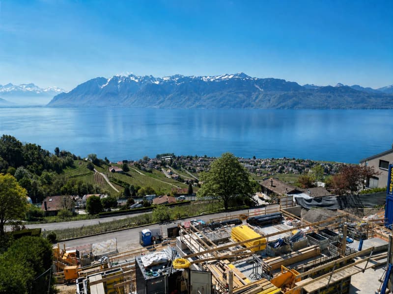 Dernier lot ! 4.5 pièces avec terrasse plein sud (6)