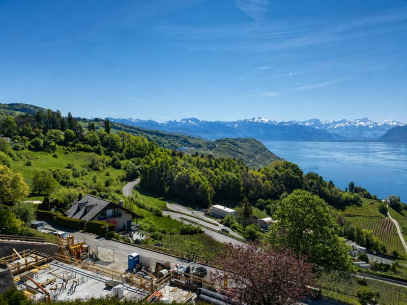 Dernier lot ! 4.5 pièces avec terrasse plein sud (7)