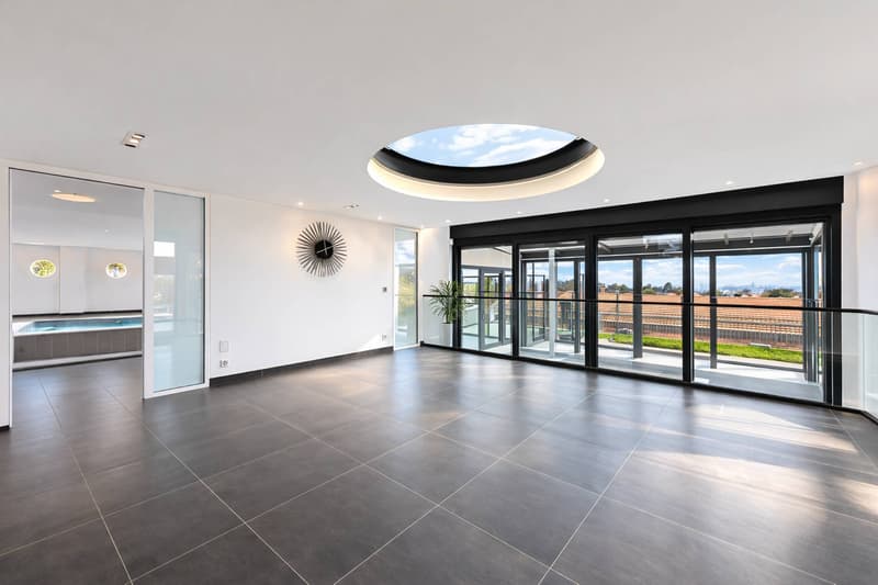 Villa contemporaine d'exception aux portes de Lausanne (5)