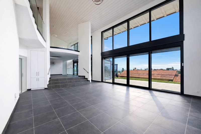 Villa contemporaine d'exception aux portes de Lausanne (3)
