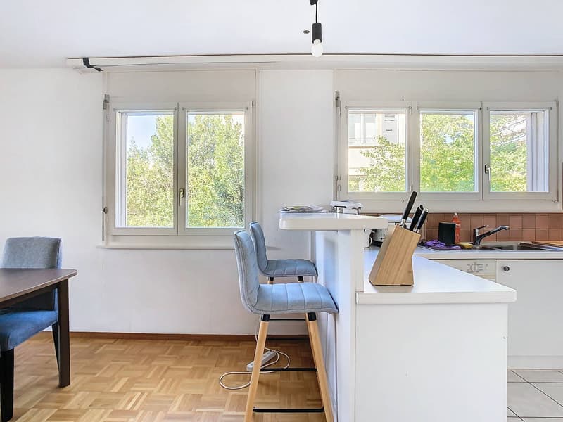 Appartement de 3.5 pièces au calme et à un instant du centre (3)