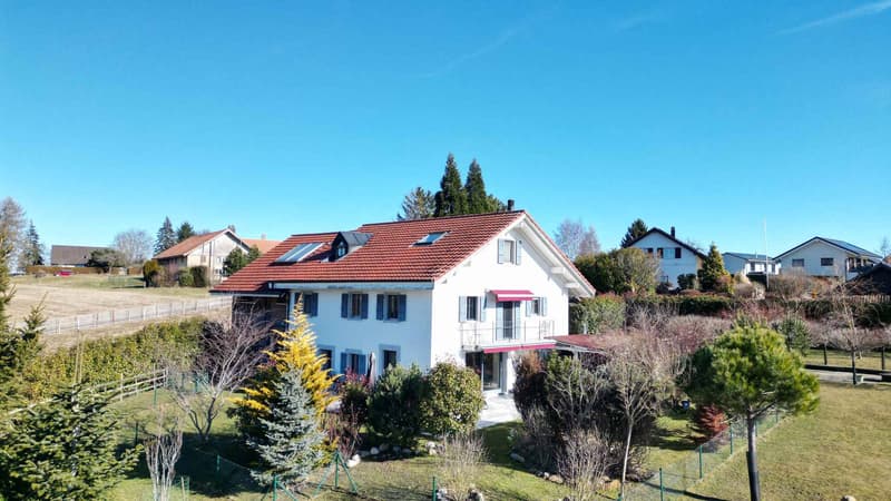 Propriété de caractère offrant trois logements et un local commercial (2)