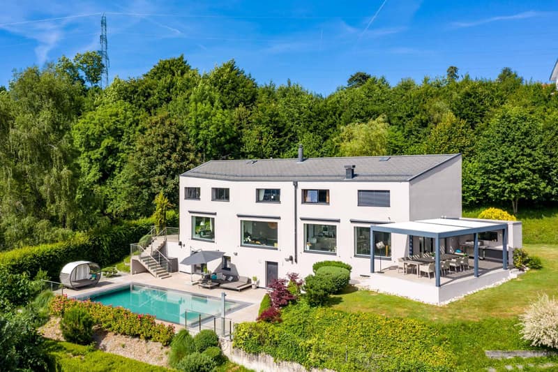 Villa moderne de standing de plus de 350 m² avec vue sur le lac (1)