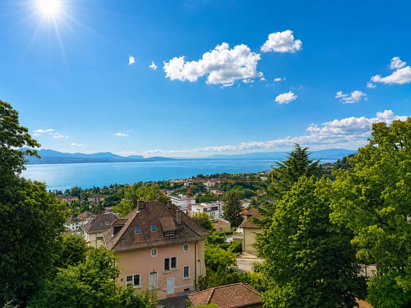 Attique exceptionnel avec une vue magnifique sur le lac (5)