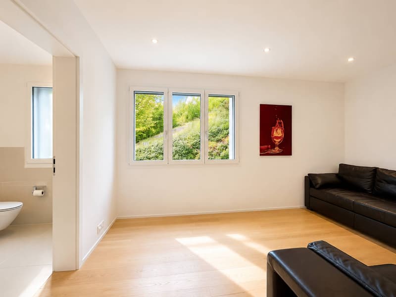 Appartement contemporain au cur du Lavaux, avec panorama sur le Léman (9)