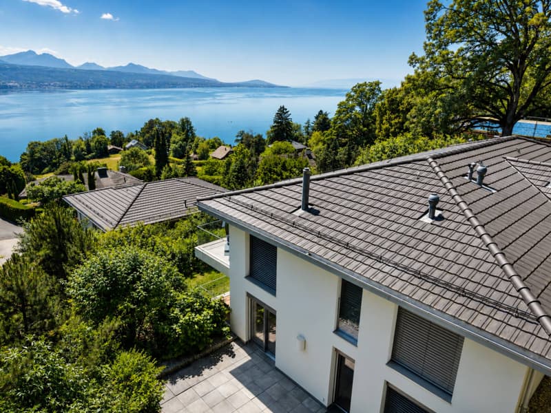 Appartement contemporain au cur du Lavaux, avec panorama sur le Léman (1)
