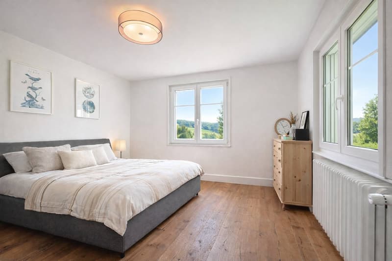 Maison Bourgeoise rénovée au cadre champêtre (8)