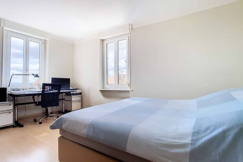 Villa La Fleur des Alpes - Quartier sous-gare (8)