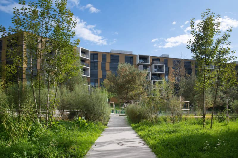 Studio contemporain Minergie au cur du quartier OASSIS (5)