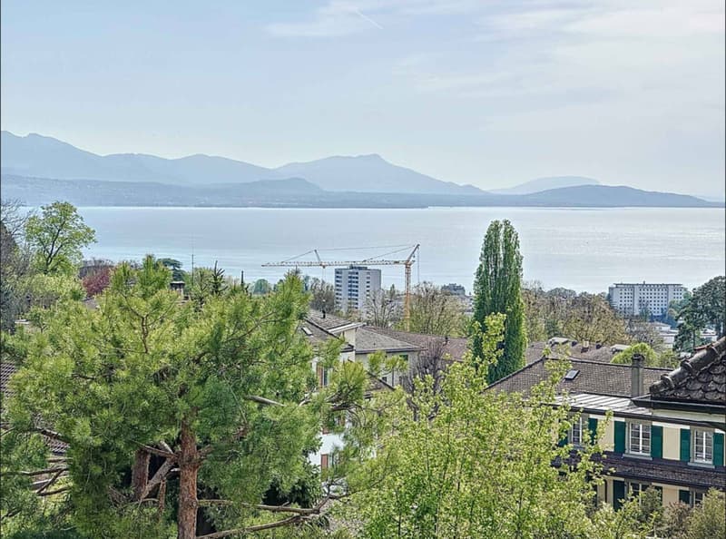 Centre de Lausanne - Villa individuelle de 6.5 pièces (12)