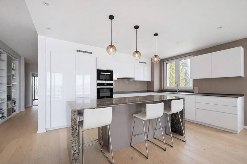Au cur des vignobles du Lavaux - Appartement de standing de 175 m2 (4)