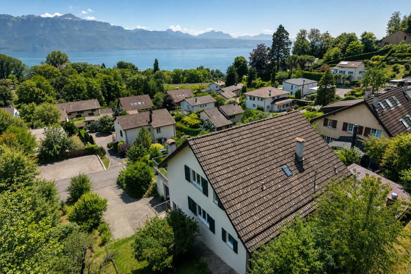 Villa individuelle de 6,5 pièces avec panorama sur le Léman et les Alpes (10)