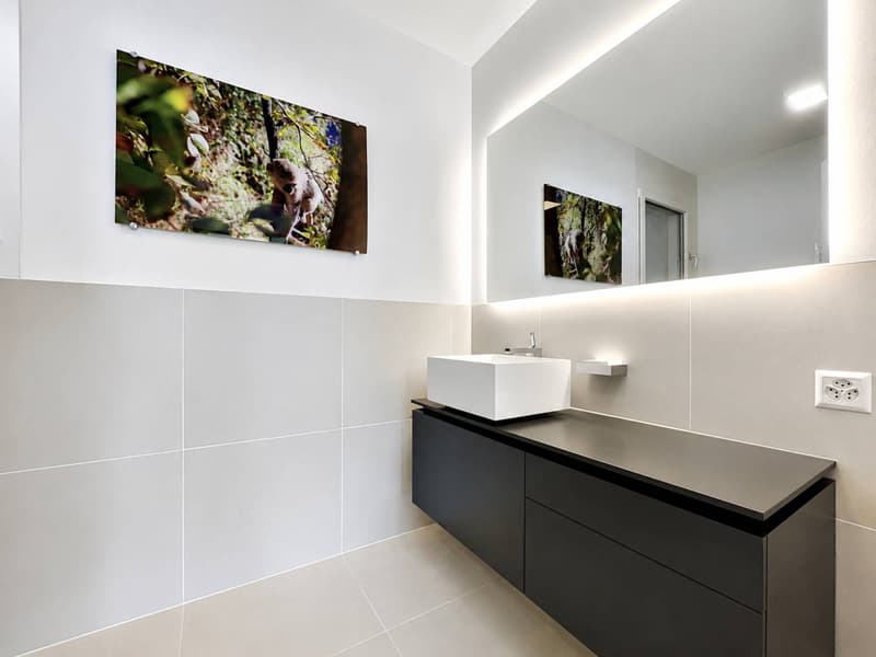 Appartement contemporain au cur du Lavaux, avec panorama sur le Léman (10)